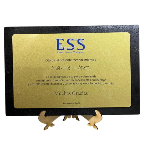 Placa Reconocimiento
